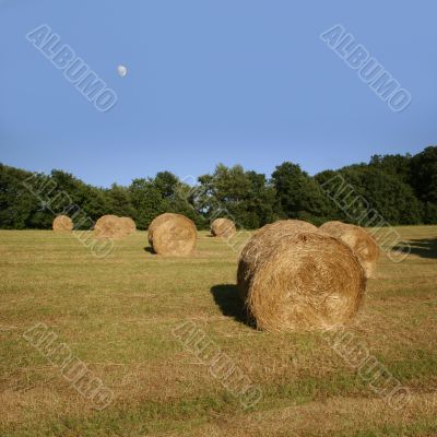 Hay bales and moon