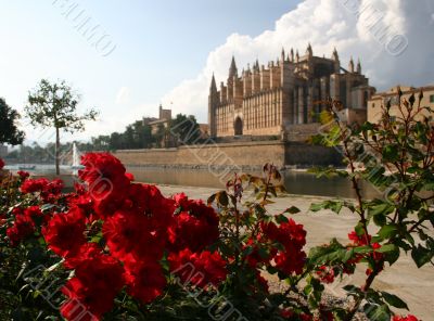 Cathedral La Seu in Palma de Mallorca, Spain