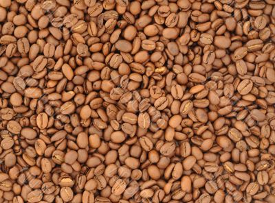 Coffee Beans.