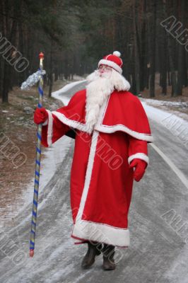 Santa Claus coming along deep forest road