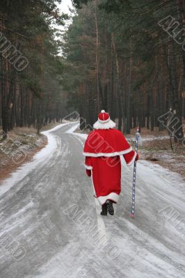 Santa Claus coming along deep forest road