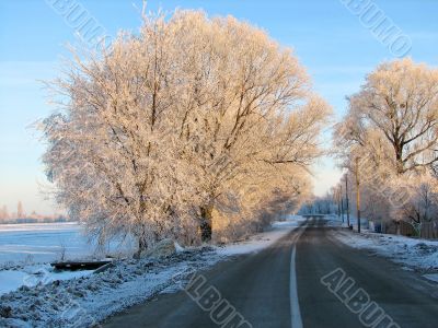 winter road