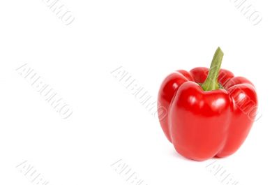 Red pepper.