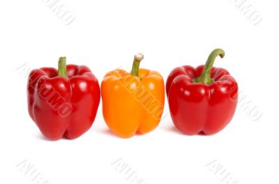 Three red peppers.
