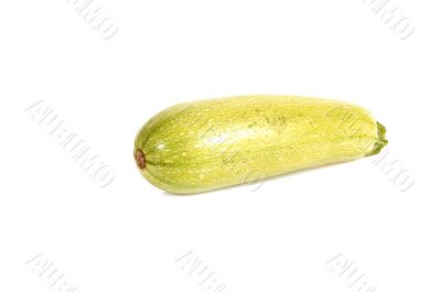 Vegetable marrow.