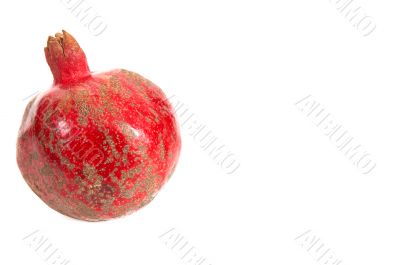 One pomegranate.