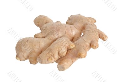Isolated ginger.