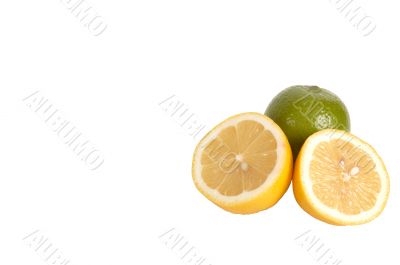 Lobules of lemons.