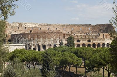 amphitheater in Rome city