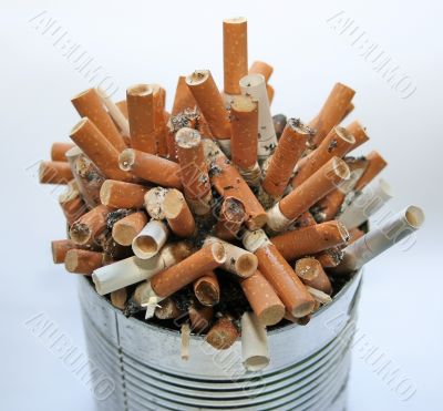 cigarette butt garbage pile