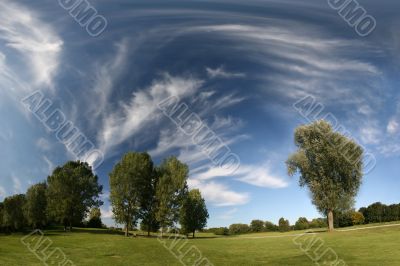 Beautiful landscape with trees and cirrus clouds
