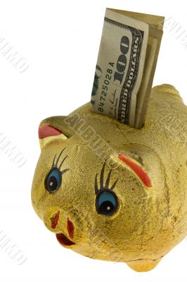 Golden piggy bank with 100 dollar