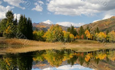 Fall Reflections