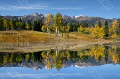 Autumn Reflections