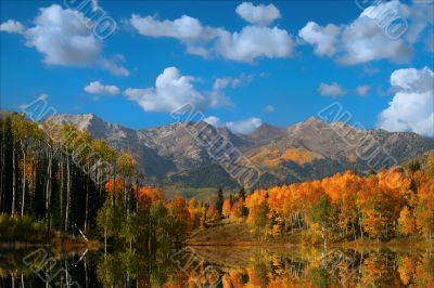 Autumn Splender