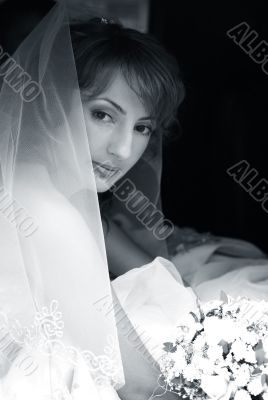 Beautiful bride
