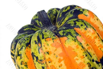 Carnival Squash