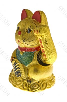 Golden lucky cat from China