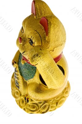 Golden lucky cat from China
