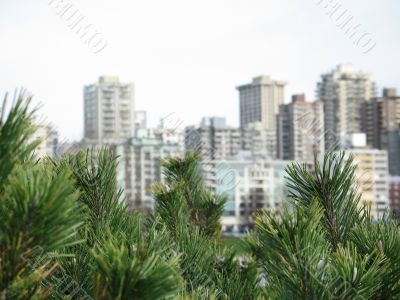 vancouver city view