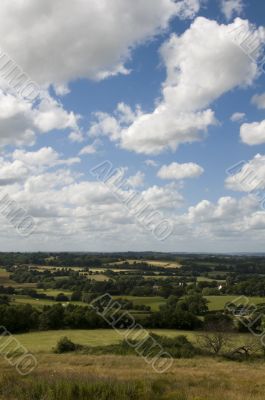 Rrural scene