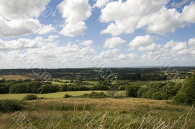 Rrural scene