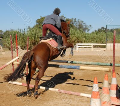 jumping brown horse