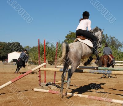 jumping grey horse