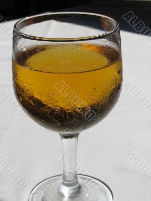 fresh cold beer glass