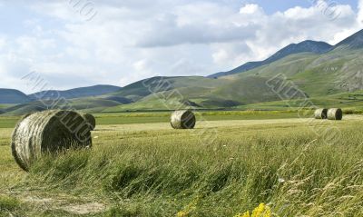 Landscape of Piana di Castelluccio