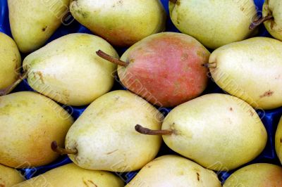 Pears