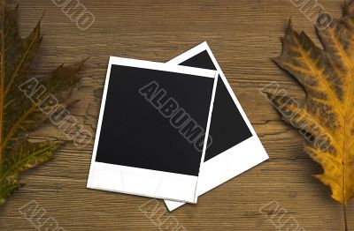 Polaroid frames over autumn background