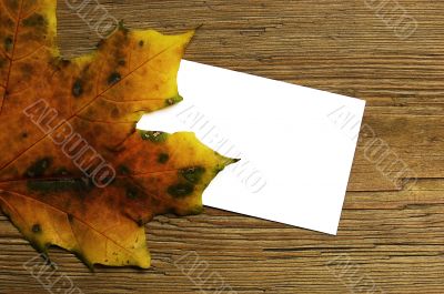 Autumn card