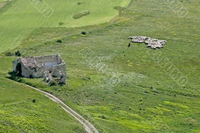 Piana di Castelluccio - Landscape