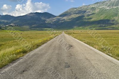 Landscape of Piana di Castelluccio