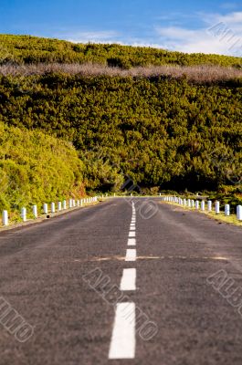 Mountain road in Madeira