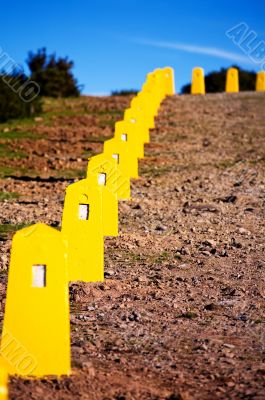 Yellow restrictive posts in Madeira