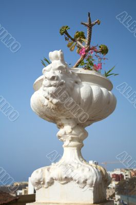 flowerpot with plant