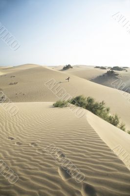 jumping at the desert