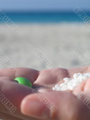white tiny shell in the palm of a hand