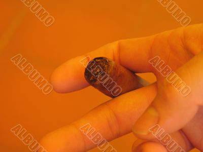 male hand holding a cigar