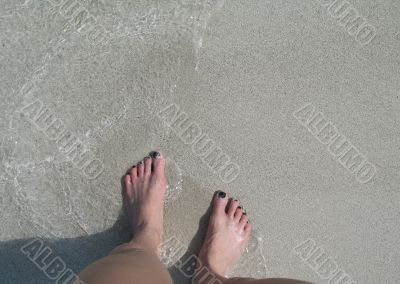 female`s feet in the ocean