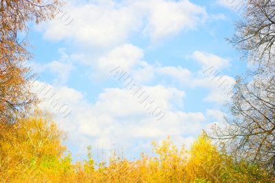 Autumn at the park