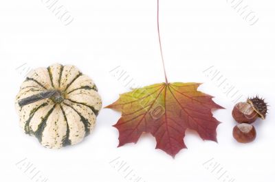autumn