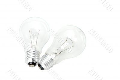 bulbs