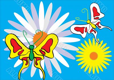 butterflies