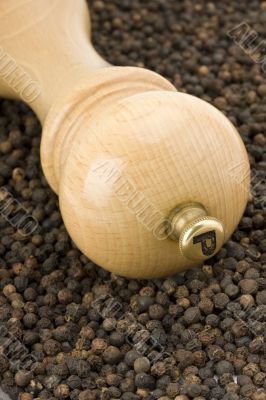 pepper mill