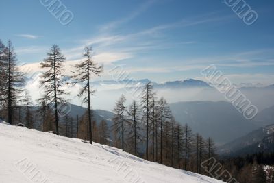 Winter