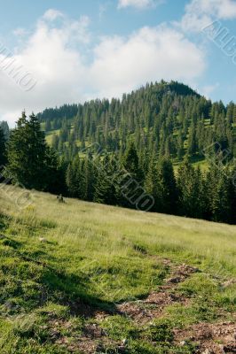 Hills