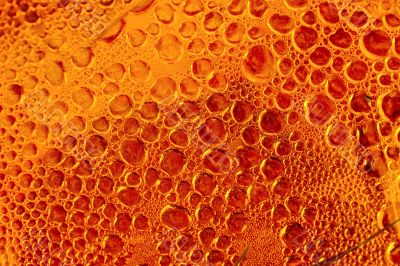 Bubbles